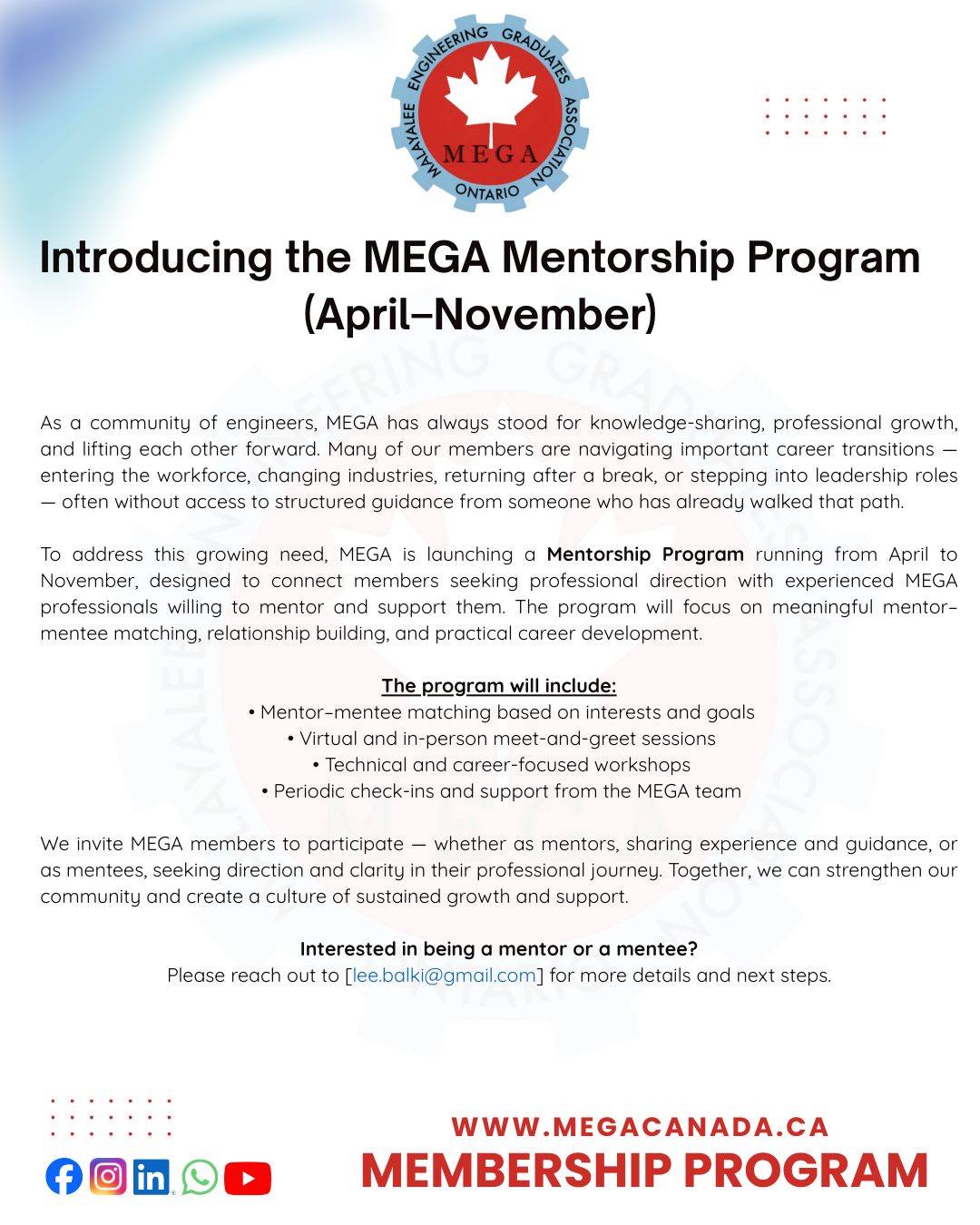 MEGA Mentorship Program